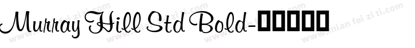 Murray Hill Std Bold字体转换